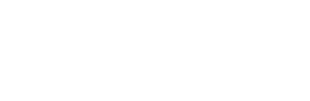 Dhamsa